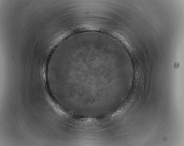X0000097840398200803141212