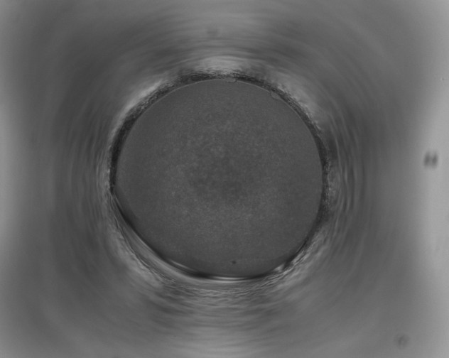X0000097840399200803141212