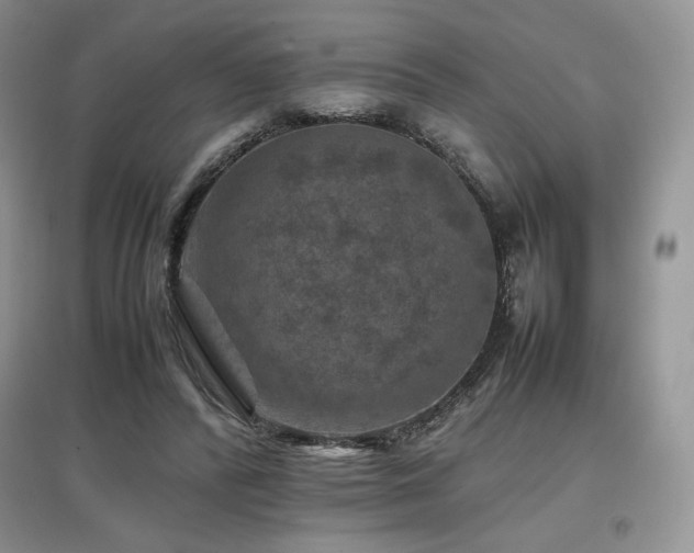 X0000097840400200803141212