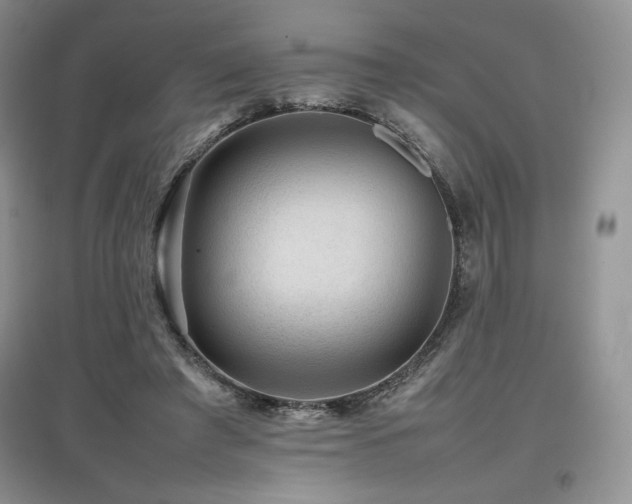 X0000097840401200803141212