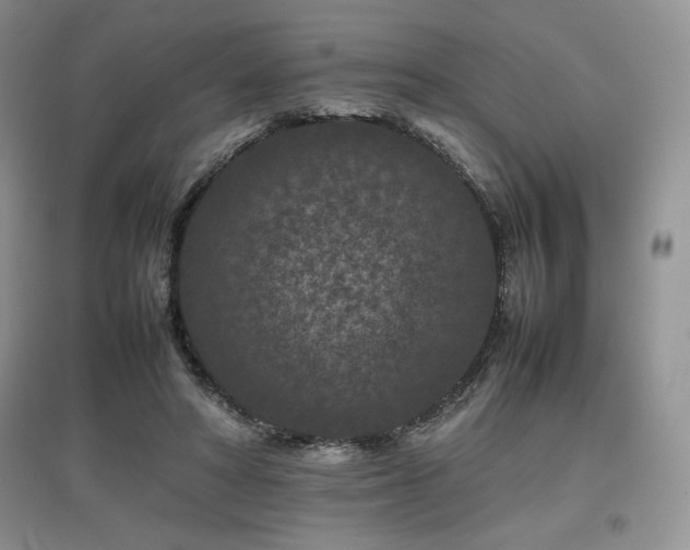 X0000097840402200803141212