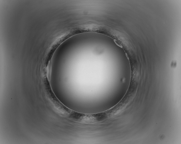 X0000097840403200803141212