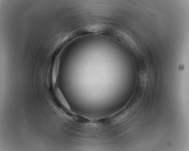 X0000097840404200803141212