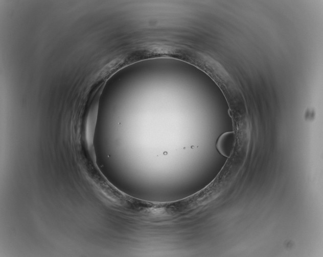 X0000097840406200803141212