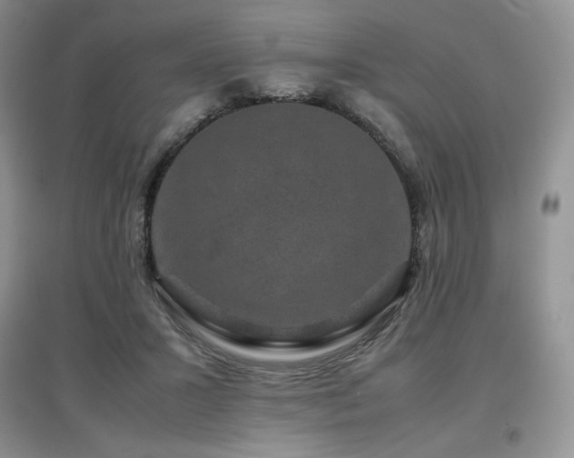 X0000097840407200803141212