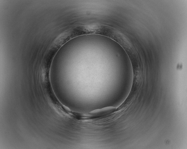 X0000097840408200803141212