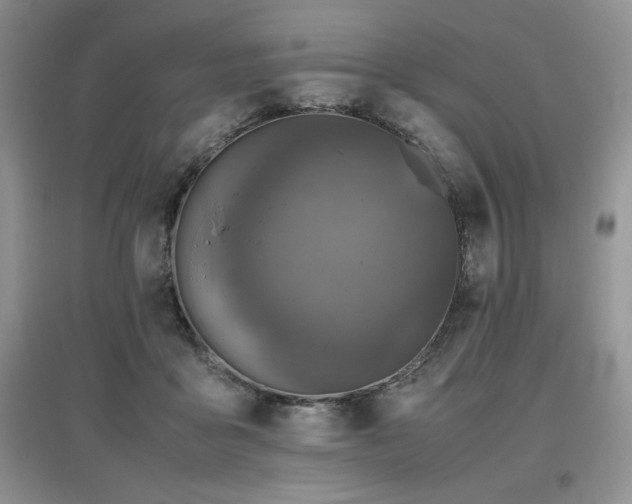 X0000097840411200803141212