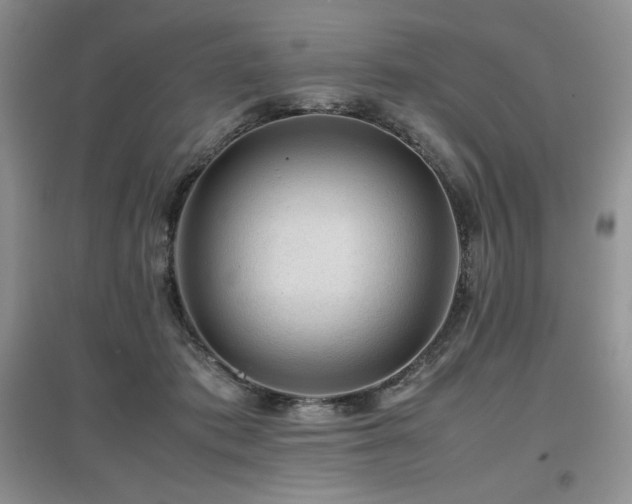 X0000097840413200803141212