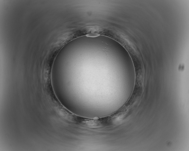 X0000097840417200803141212