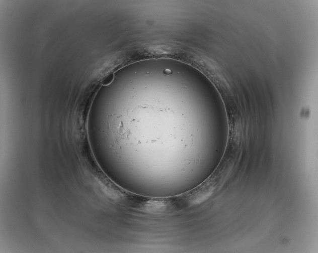 X0000097840418200803141212