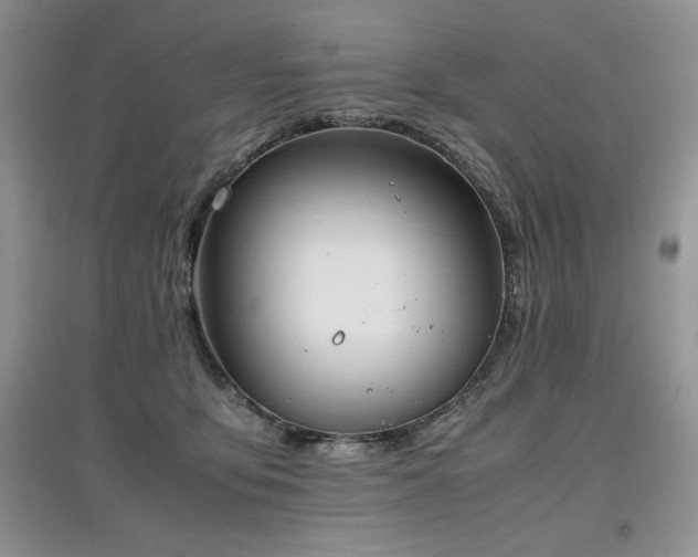 X0000097840419200803141212