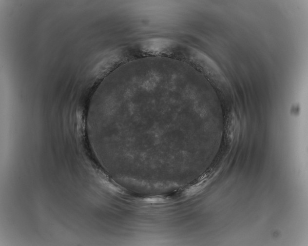X0000097840420200803141212