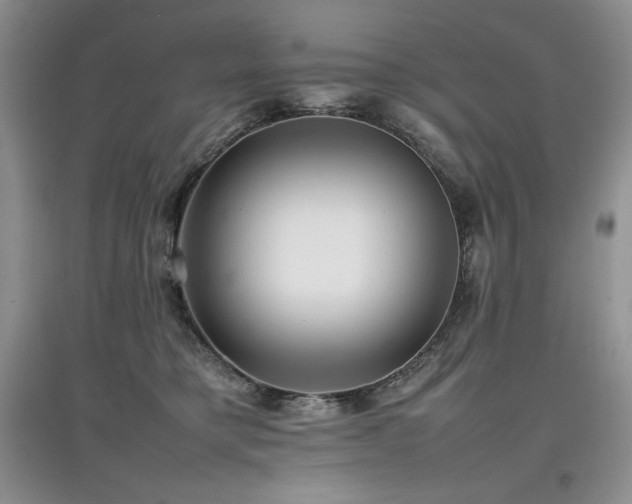 X0000097840421200803141212
