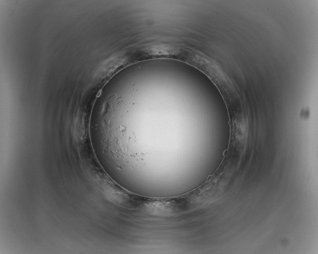 X0000097840422200803141212