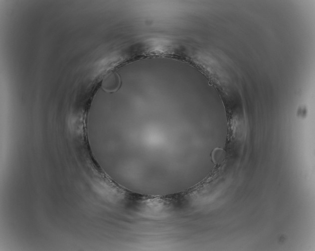 X0000097840423200803141212