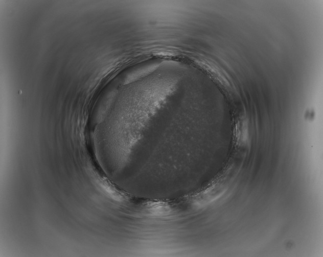 X0000097840424200803141212