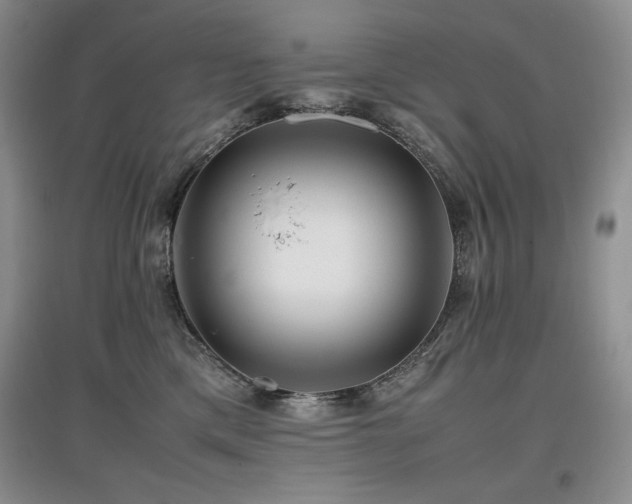 X0000097840425200803141212