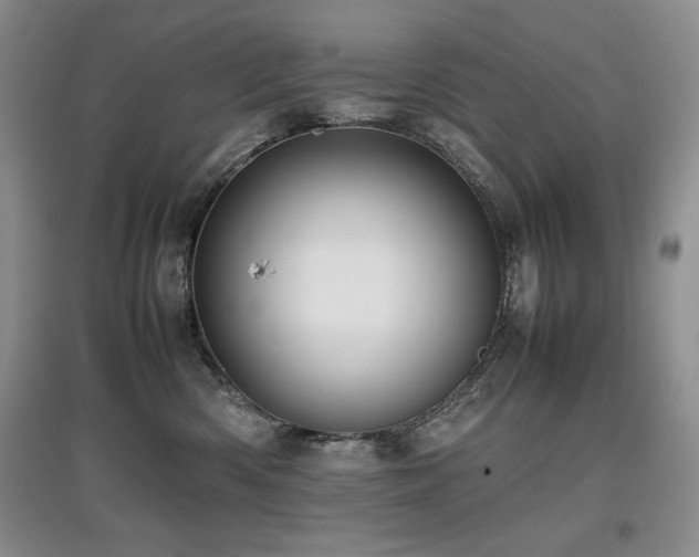 X0000097840426200803141212