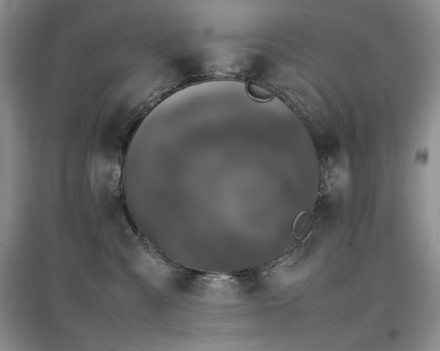 X0000097840427200803141212