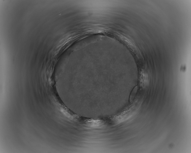 X0000097840428200803141212