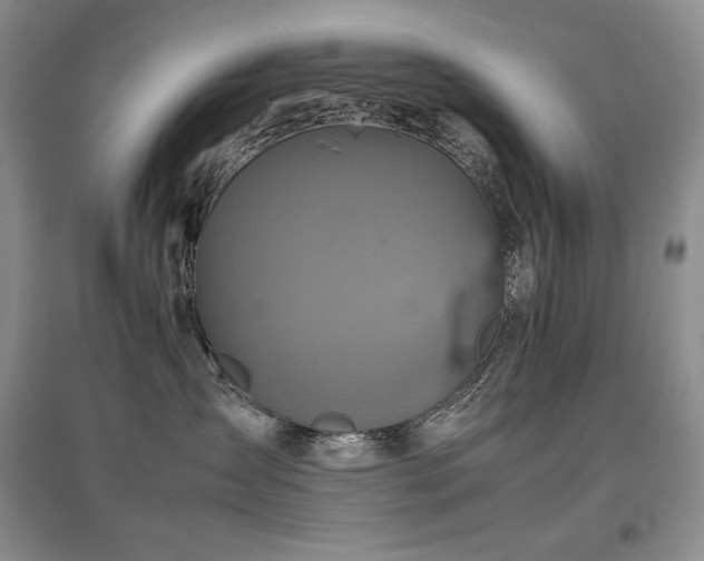 X0000097840431200803141212
