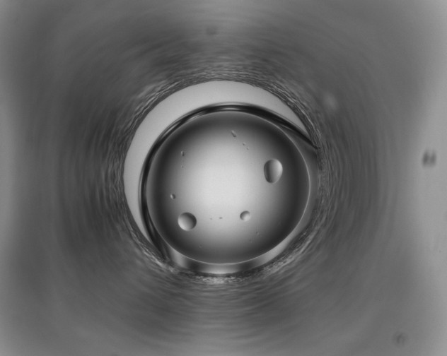 X0000097840432200803141212