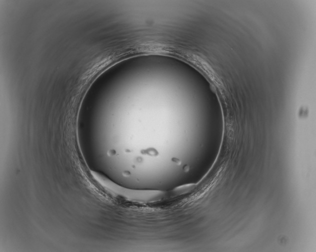 X0000097840433200803141211