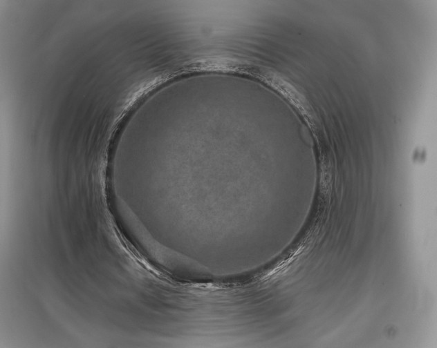 X0000097840434200803141211