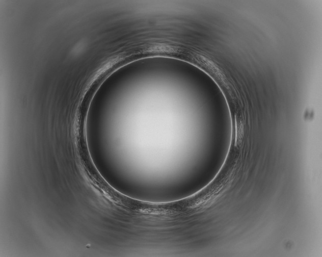 X0000097840435200803141211