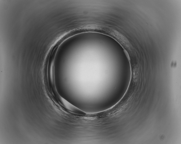 X0000097840436200803141211