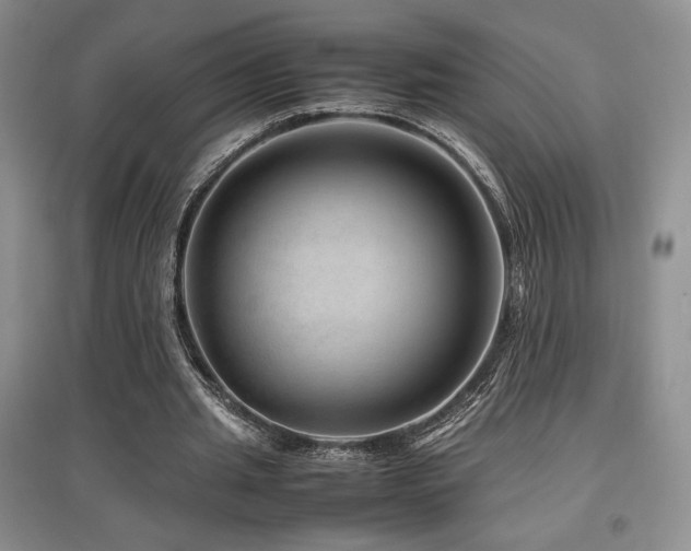 X0000097840437200803141211