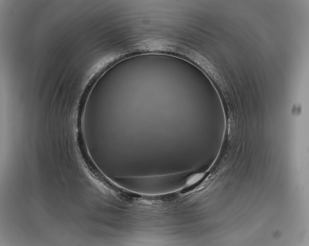 X0000097840438200803141211