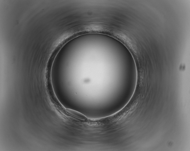 X0000097840439200803141211