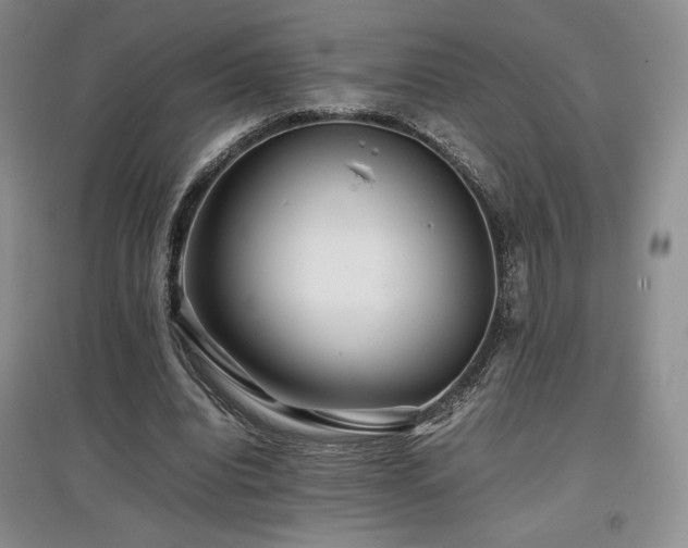 X0000097840440200803141211