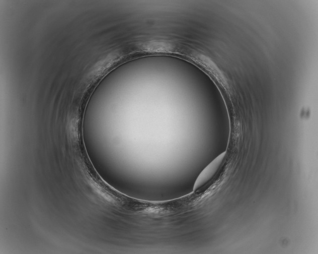 X0000097840441200803141211