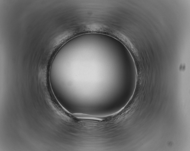 X0000097840442200803141211