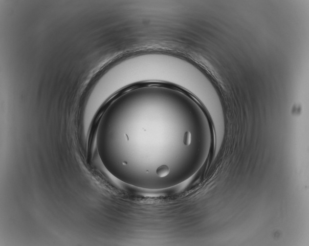 X0000097840444200803141211