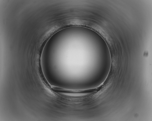 X0000097840445200803141211