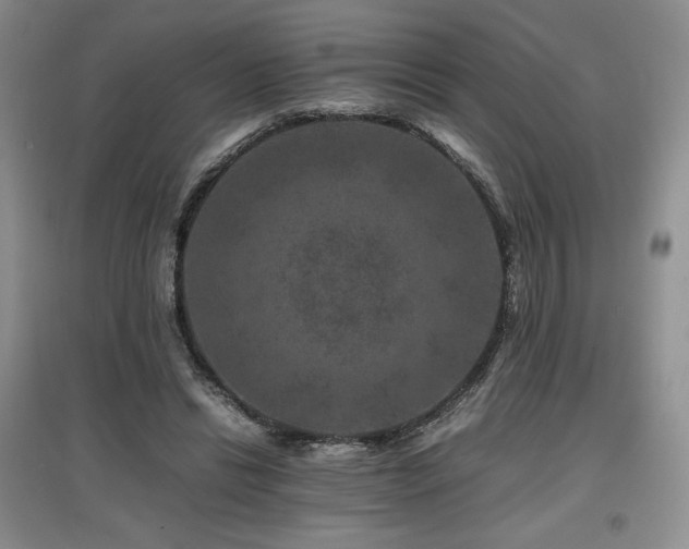 X0000097840446200803141211