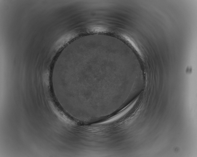 X0000097840447200803141211