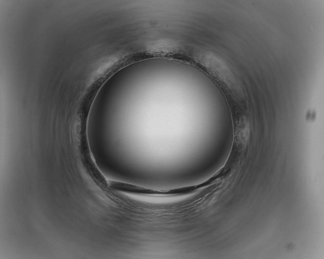 X0000097840448200803141211