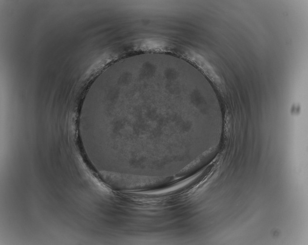 X0000097840449200803141211