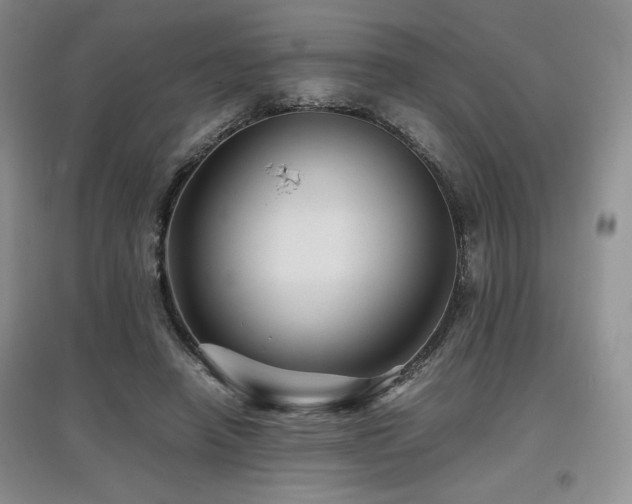 X0000097840450200803141211