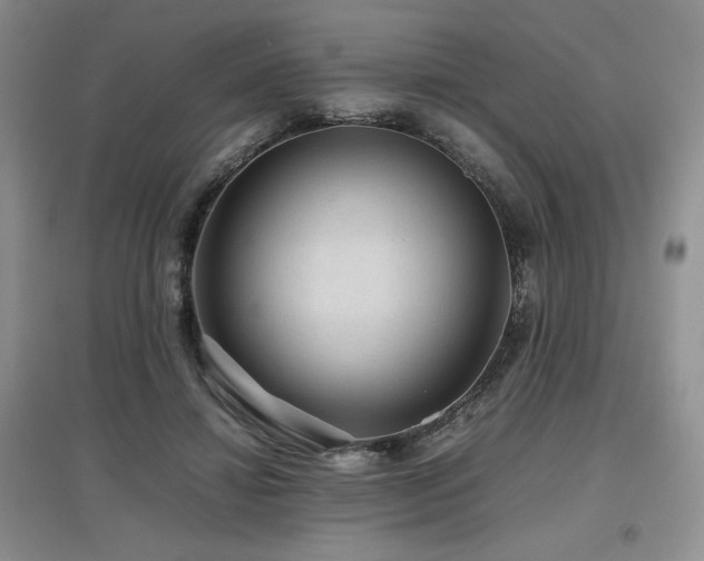 X0000097840452200803141211