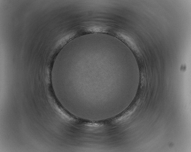X0000097840453200803141211