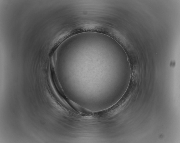 X0000097840454200803141211