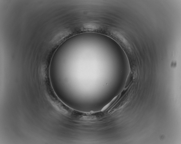 X0000097840455200803141212
