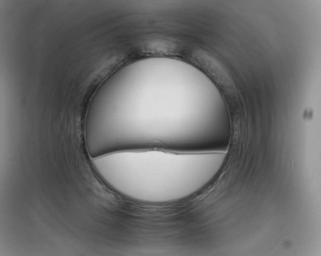 X0000097840457200803141212