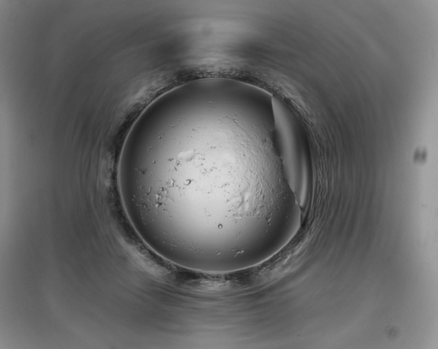 X0000097840458200803141212