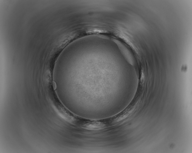 X0000097840459200803141212